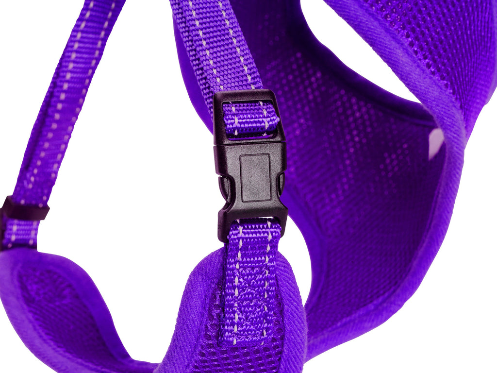 Mesh Sele Iris – Lila (Dogman)