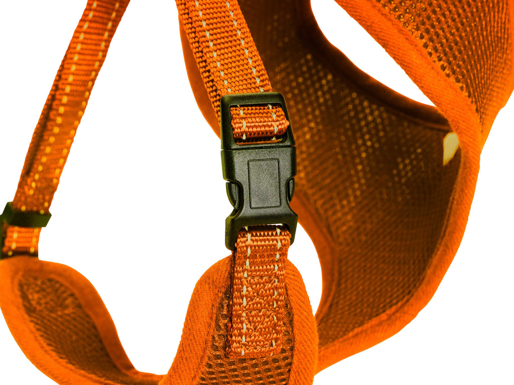 Mesh Sele Iris - Orange (Dogman)