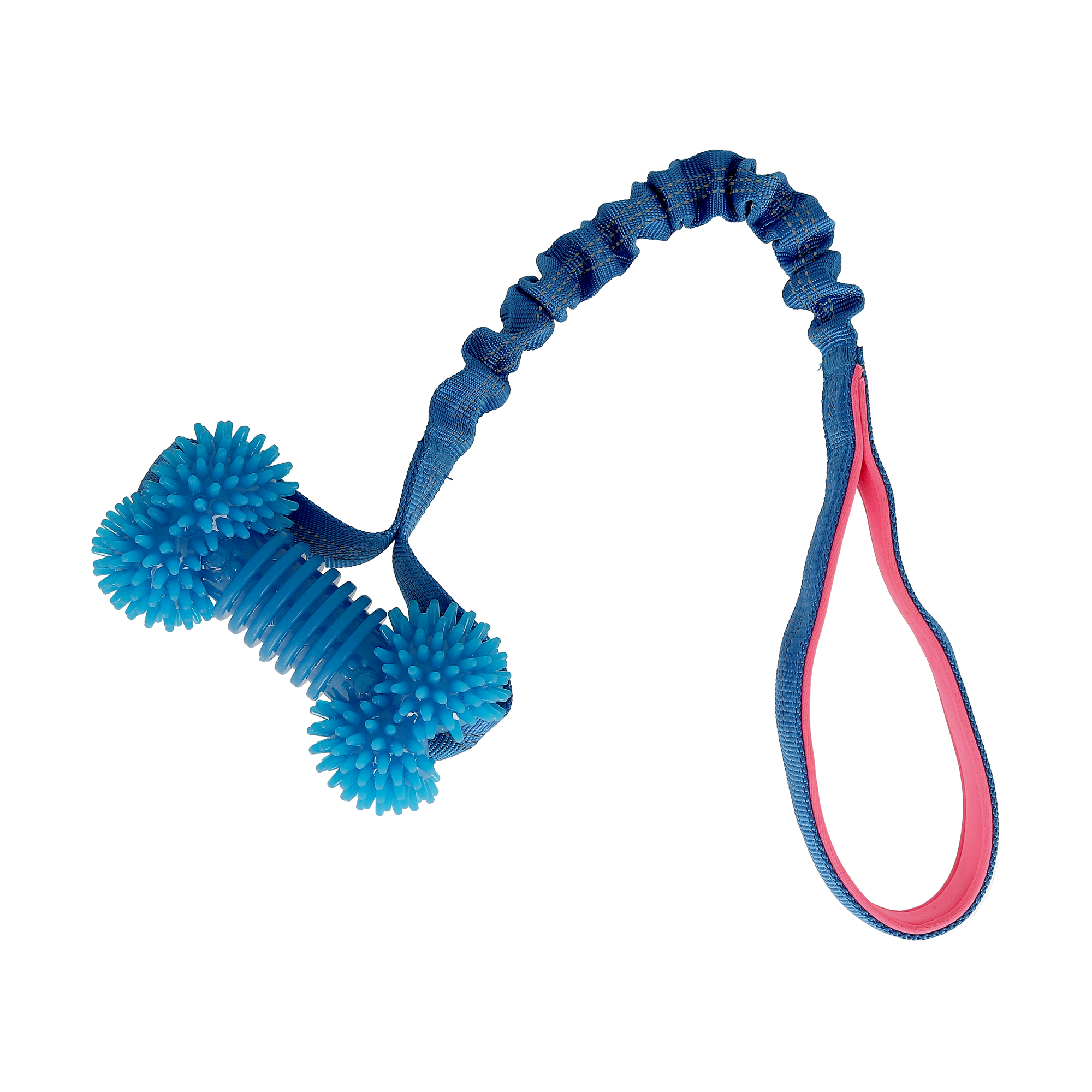 Valpleksak ben Blå/Rosa 50 cm (Dogman)
