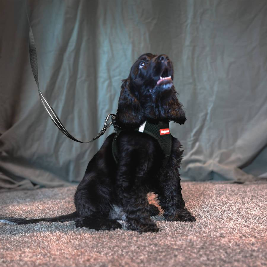 Air Mesh Step-in Väst Sele Svart (Dogman)