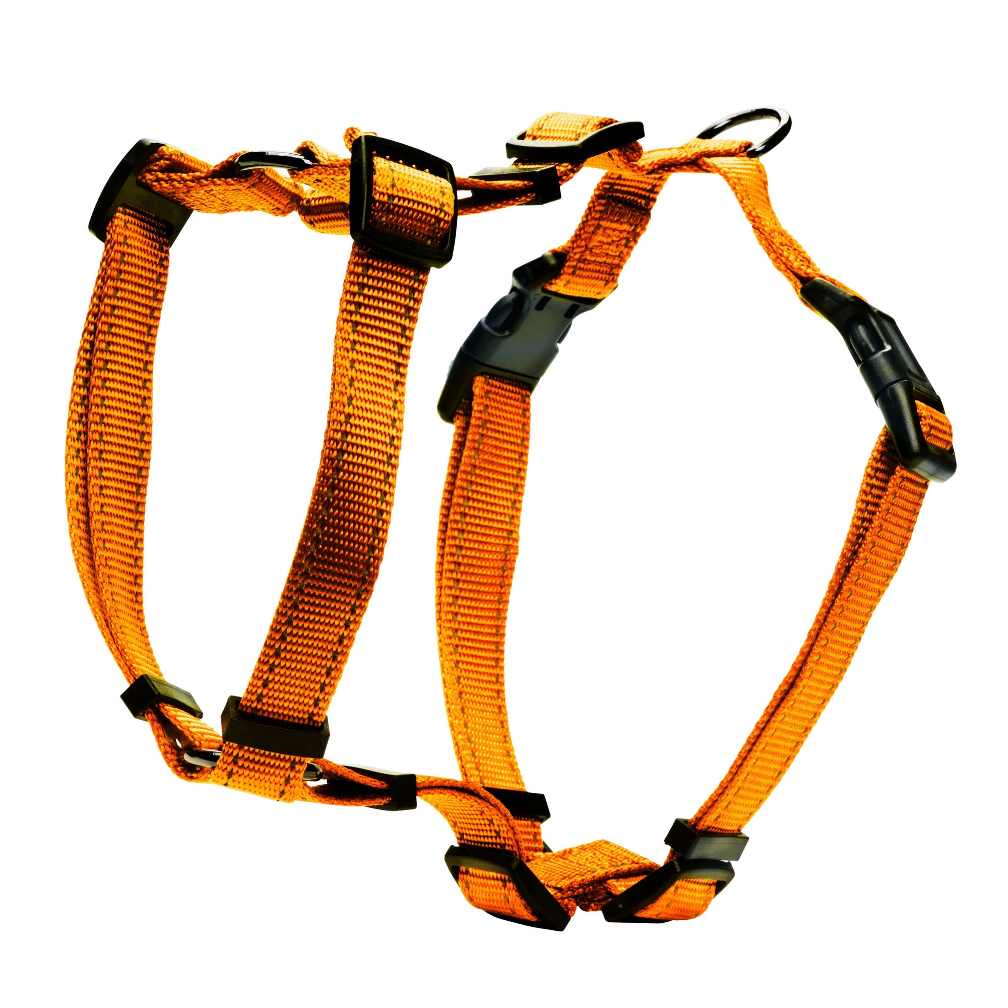 H-sele Iris – Orange (Dogman)