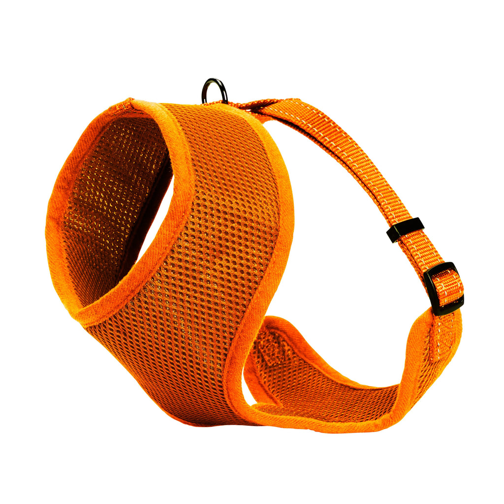 Mesh Sele Iris - Orange (Dogman)